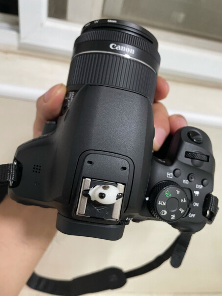 单反相机佳能850D 单反相机质量真的差吗,优劣分析评测结果！