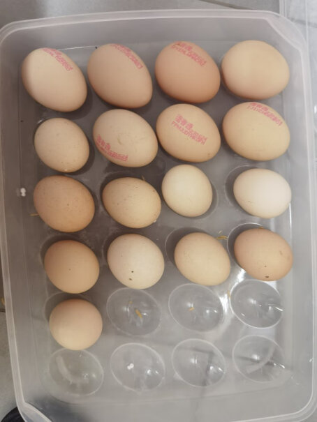 京东京造安心鲜鸡蛋 20枚初生蛋 15项安心检测好不好？真相揭秘实际情况！