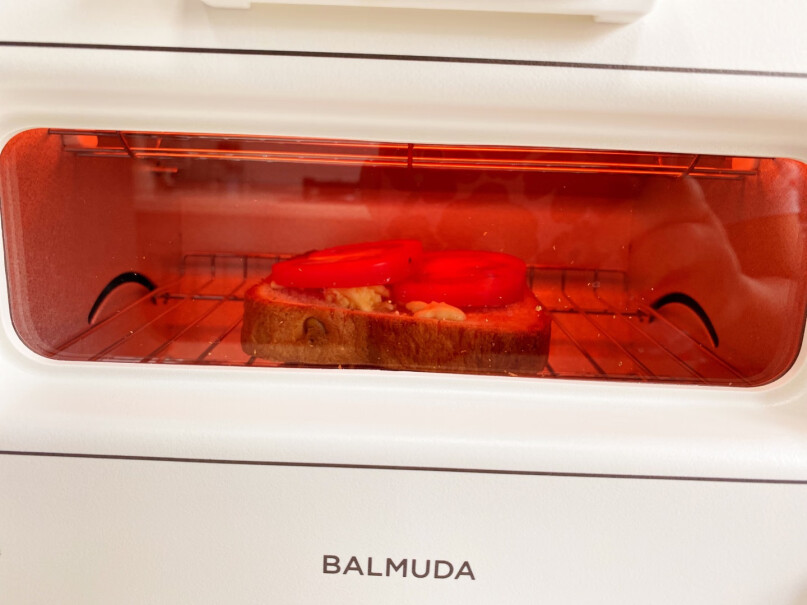 电烤箱BALMUDA性能评测,质量不好吗？