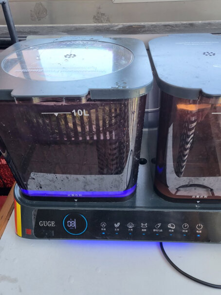 德国谷格果蔬清洗机全自动洗菜机家用肉类消毒多功能蔬果净化器5升的桶里面有不锈钢篮子吗？
