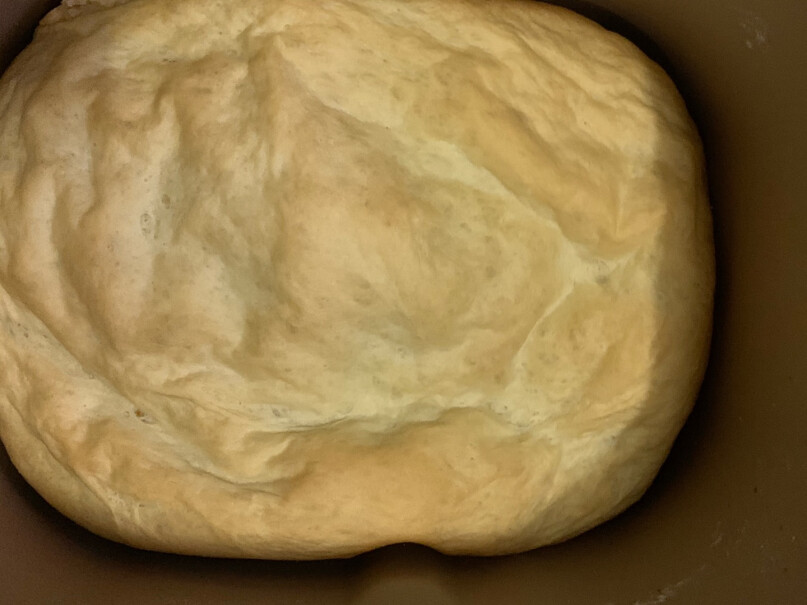 柏翠全麦面包能成功吗？