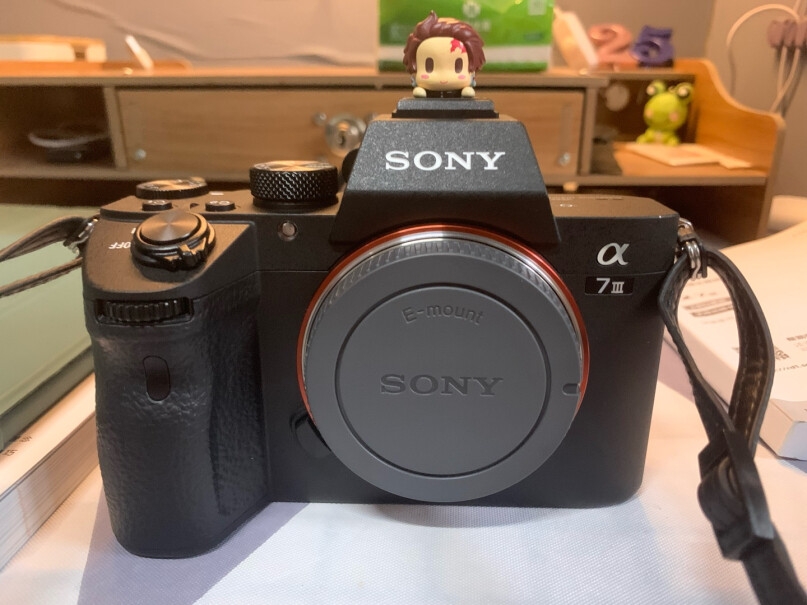 索尼Alpha 7 III 微单数码相机和松下s5k比哪个综合性能比较好？