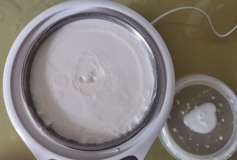 小熊酸奶机专用发酵菌粉尚川发酵菌10条装酸奶机的本体是指什么？