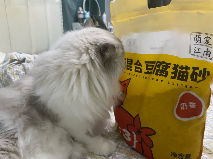 萌宠江南 猫砂除臭低尘奶香味 2.5kg怎么样？3分钟了解评测报告！