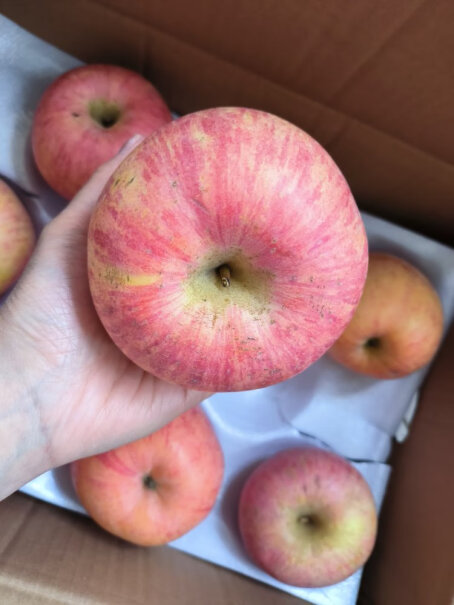 佳农苹果烟台红富士苹果5kg装怎么样入手更具性价比？用户吐槽曝光？