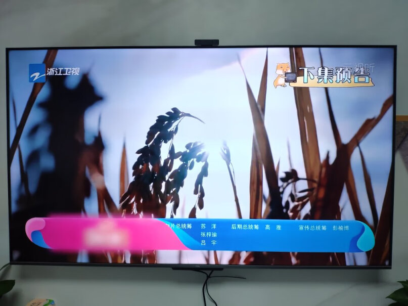 TCL电视65Q10电视屏幕上的塑料膜需要撕下来吗？