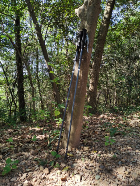 登山攀岩开拓者天狼星2系登山杖碳纤维加铝合金手杖5节折叠伸缩使用感受,评价质量实话实说？