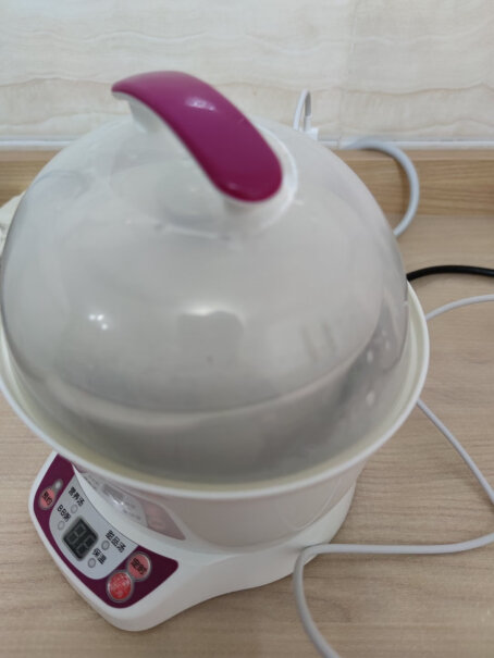 天际TONZE电炖锅电炖盅可以蒸米饭吗？