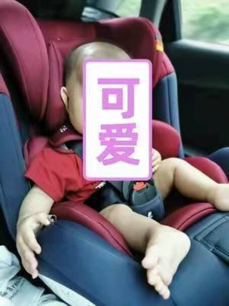 安全座椅Babypalace宝宝汽车儿童安全座椅isofix接口测评结果让你出乎意料！质量真的好吗？