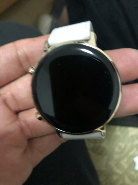 华为Watch GT2这个手表带不带海拔高度提醒？