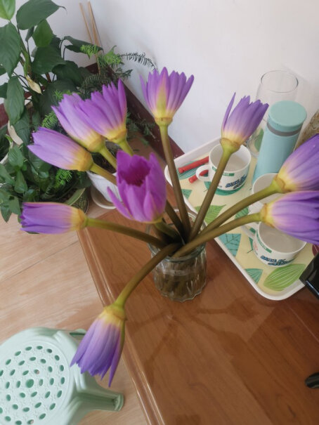 FlowerPlus花加优选水养鲜切花瓶插花桌面装饰清新礼物速递花束随机色洋牡丹10枝+随机款花瓶是真花吗？