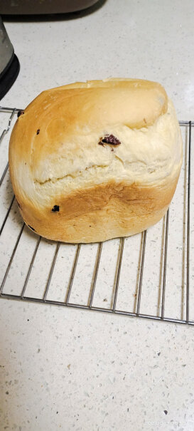 东菱Donlim烤面包机厨师机全麦面包能做吗？