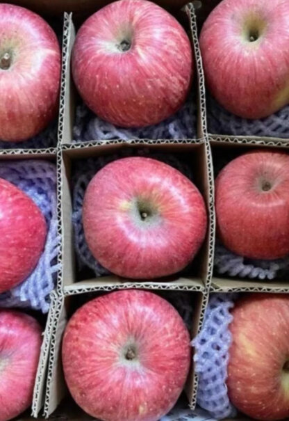 江博尔苹果红富士苹果甘肃富士苹果年现摘新果水果生鲜时令苹果带箱10斤水果礼盒5斤装怎么样？老司机透漏评测？