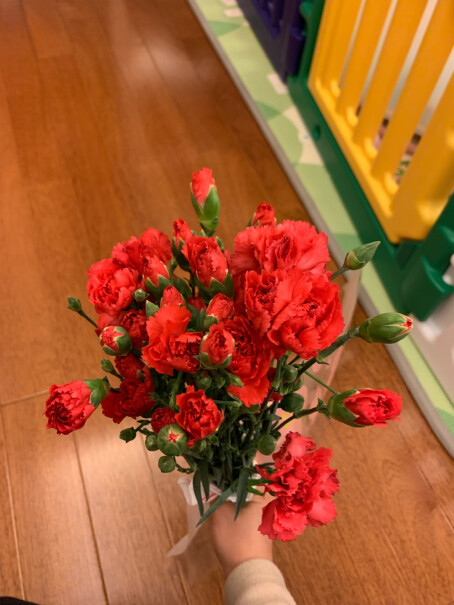 FlowerPlus花加优选水养鲜切花瓶插花桌面装饰清新礼物速递花束随机色洋牡丹10枝+随机款花瓶您好：今天买，什么时间能到。