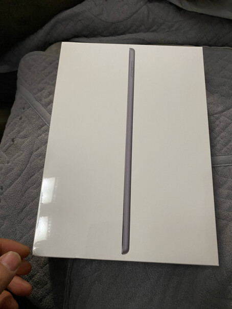 Apple iPad 10.2英寸平板电脑 2021年款（256GB WLAN版都是哪里发货的呀？