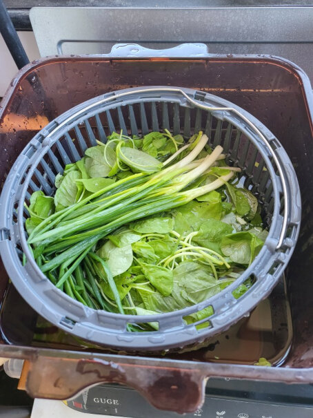 德国谷格果蔬清洗机全自动洗菜机家用肉类消毒多功能蔬果净化器5升的桶里面有不锈钢篮子吗？