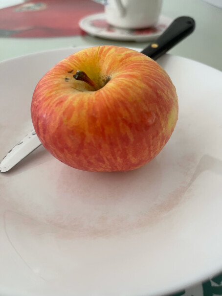 佳农陕西洛川苹果红富士5kg上海现在发货吗？