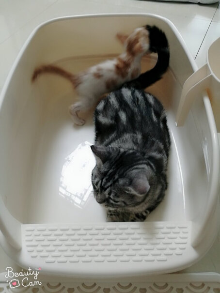 猫砂盆猫乐适猫砂盆半封闭式猫厕所评测教你怎么选,对比哪款性价比更高？