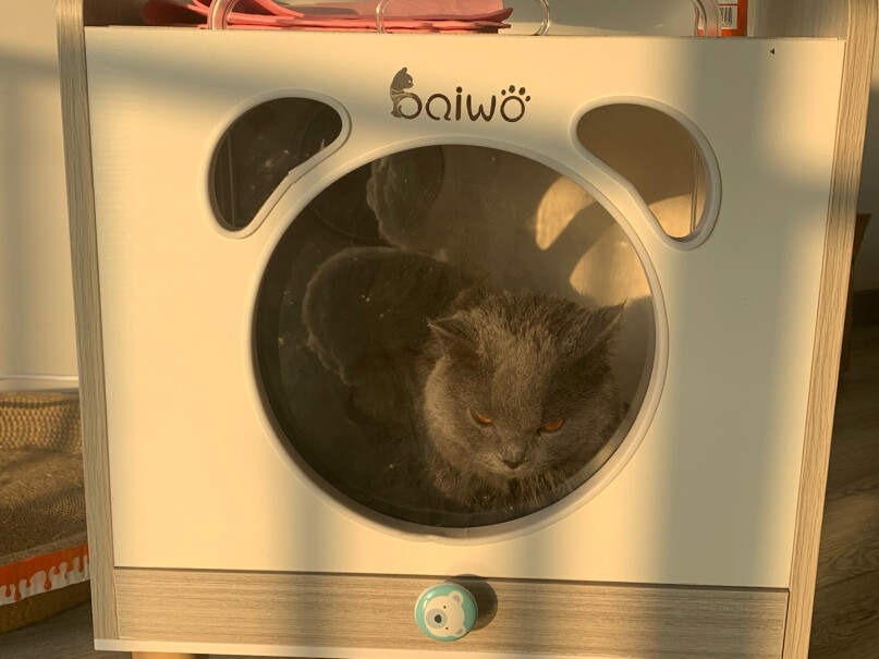 美容电器百我（Baiwo猫咪烘干机宠物烘干箱猫窝猫屋深度剖析功能区别,评测性价比高吗？