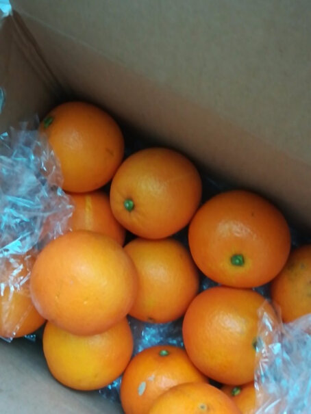 橙子顺丰速运秭归血橙中华红橙现摘新鲜水果当季红心橙子甜橙爆汁橙真的好吗！评测质量好吗？