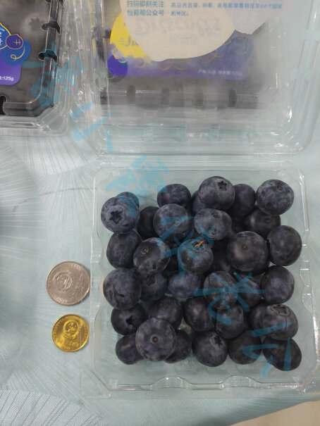 怡颗莓蓝莓评测怎么样？图文评测剖析真相？