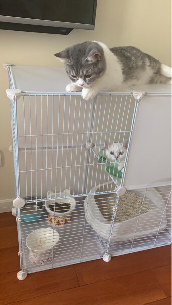 笼子-围栏蔻丝三层猫笼子大号家用超大猫别墅评测数据如何,评测质量好吗？