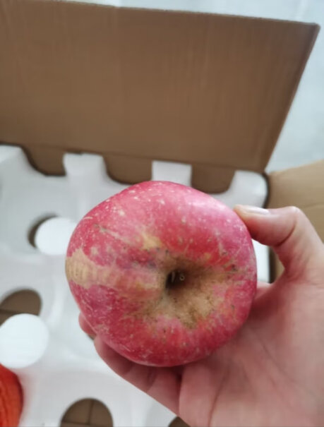 苹果红富士巧域脆甜斤大果80mm新鲜水果好用吗？来看下质量评测怎么样吧！