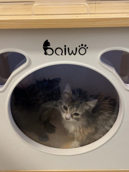 美容电器百我（baiwo宠物烘干机猫咪木制猫屋暖猫窝评测比较哪款好,究竟合不合格？