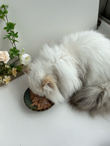 抱抱的礼物铁蛋白蔓越莓鲜猫条10g抱抱鸡肉礼物营养使用怎么样？优缺点大全！