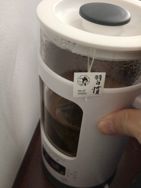 生活元素养生壶迷你煮茶器请问，壶里面有用到塑胶制品吗？
