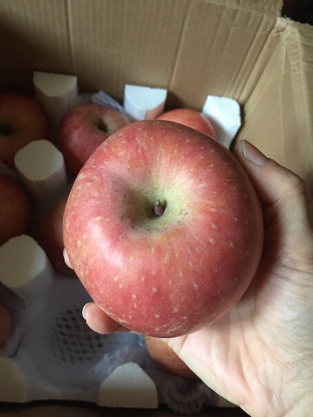 正宗山东烟台苹果栖霞红富士脆甜当季新鲜水果时令生鲜整箱来看下质量评测怎么样吧！最真实的图文评测分享！