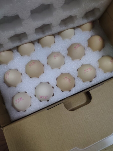 黄天鹅鸡蛋30轻食单枚50G+生食无菌天鹅评测好不好用？优缺点测评！