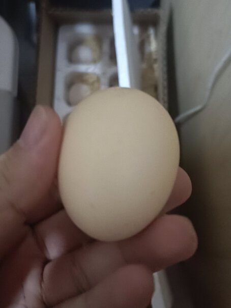 京东京造安心鲜鸡蛋 20枚初生蛋 15项安心检测鸡蛋怎么样啊？新鲜吗？