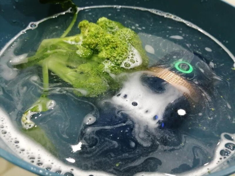 东菱Donlim胶囊果蔬清洗机降农残家用自动洗菜机无线便携可以洗鱼肉类吗？