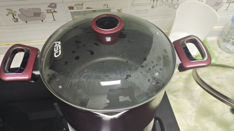 爱仕达ASD汤锅质量怎么样啊？会不会粘锅啊会不会有异味呀？容不容易生锈啊？