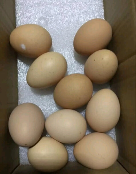 堆草堆土鸡蛋哪个性价比高、质量更好,评测下来告诉你坑不坑？