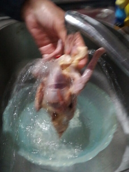 硒全食美富硒汤鸽 供港鸽子肉可以放多久呢？