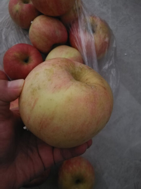 正宗山东烟台苹果栖霞红富士脆甜当季新鲜水果时令生鲜整箱是脆的，还是沙的哦？
