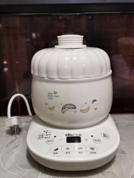 小熊燕窝炖盅电炖锅这锅可以两用吗？外面大锅直接可以煮吗？