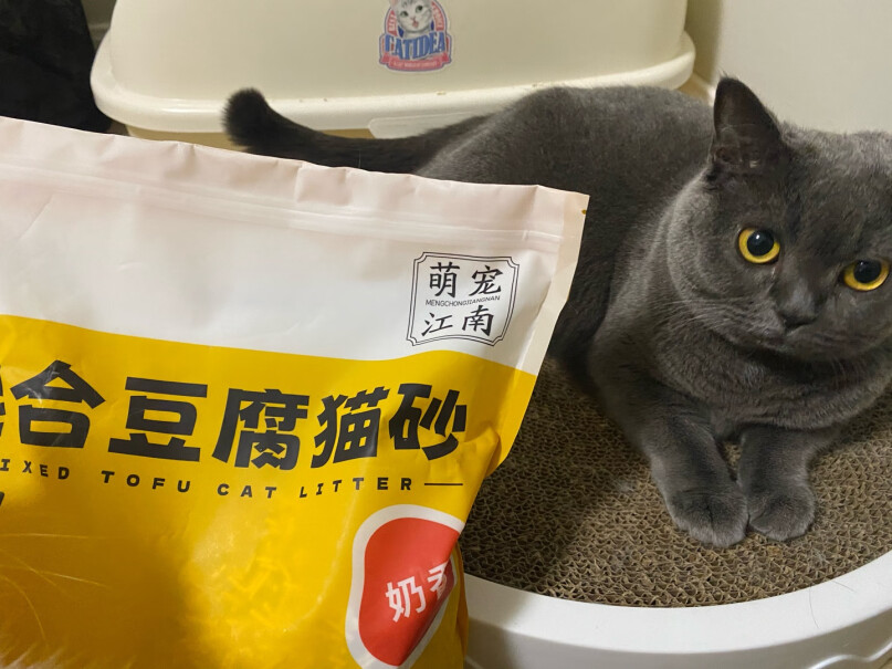 萌宠江南 猫砂除臭低尘奶香味 2.5kg评测性价比高吗？用户吐槽评测曝光？