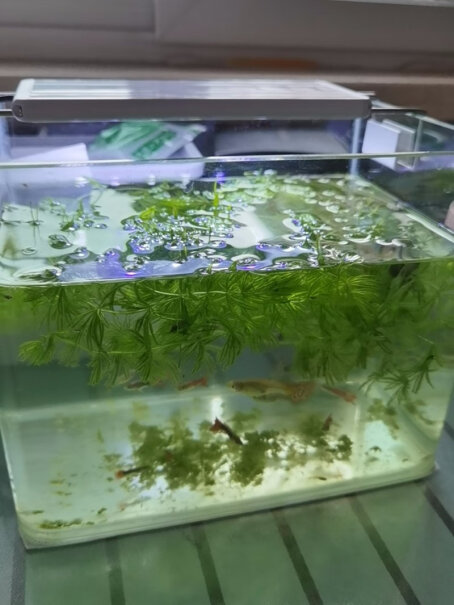 照明设备迪普尔鱼缸灯led灯水草灯水族箱草缸照明灯管夹灯通用分析哪款更适合你,使用情况？