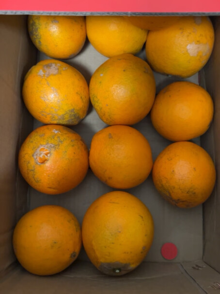 京丰味橙子脐橙优选大果 礼盒10斤推荐哪种好用？测评大揭秘！