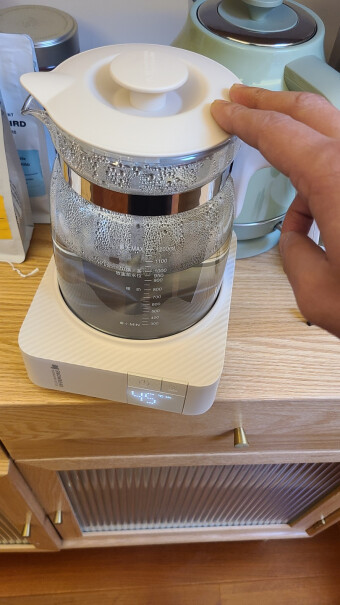 暖奶消毒小白熊恒温水壶调奶器1.2L分析应该怎么选择,告诉你哪款性价比高？