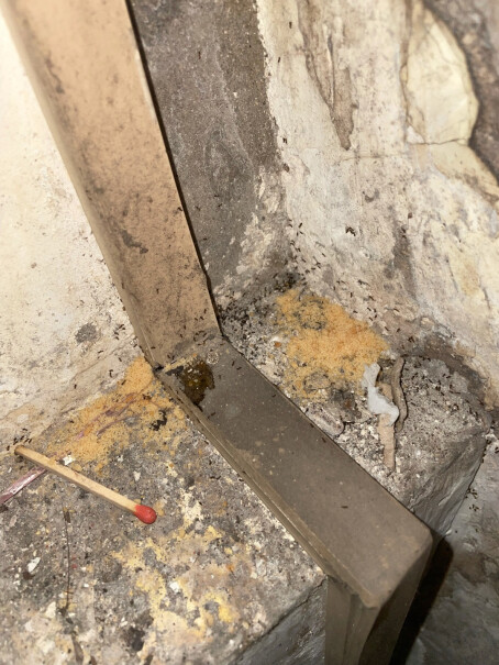 德国拜耳BAYER蚂蚁药杀虫剂灭蚂蚁进口家用全窝端小蚂蚁是顺着房顶边处爬，这个药能贴到房顶吗？掉不下来吧。