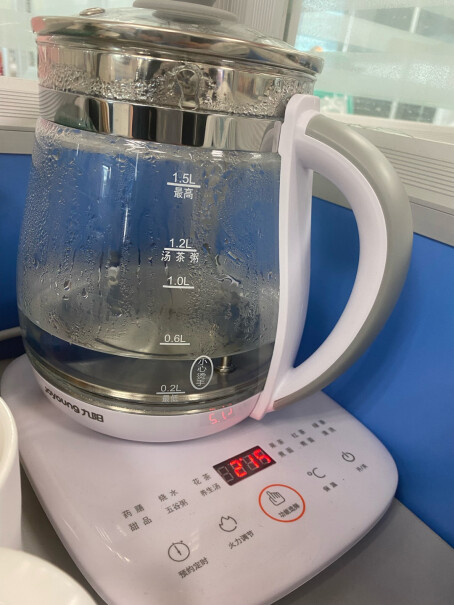 茶壶1.5L电水壶煮茶煎药九阳药膳茶具可以炖银耳吗？
