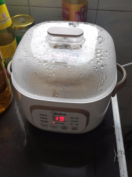 美的电炖锅燕窝炖盅煮粥隔水炖外面的透明盖子是塑料的吗？