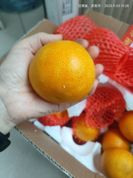 X-PLUS桔-橘应该注意哪些方面细节？使用情况报告！