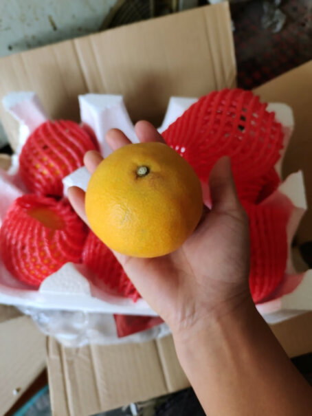 X-PLUS四川爱媛果冻橙礼盒评测值得买吗？网友评测点评分享？