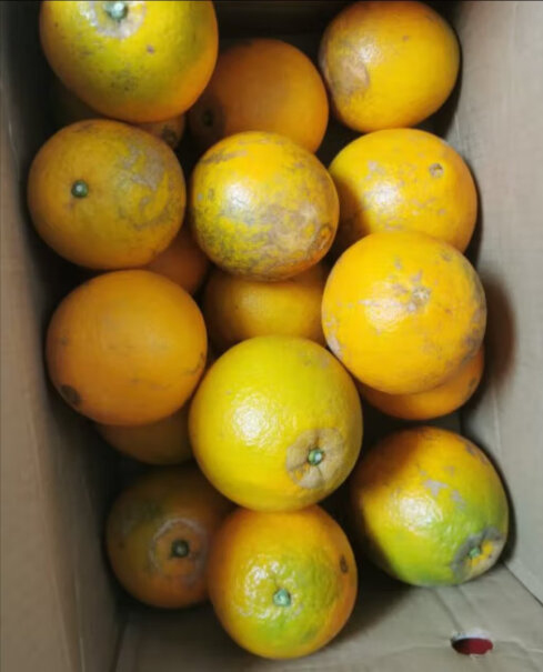 京丰味橙子脐橙优选大果 礼盒10斤购买前需要注意什么？体验揭秘测评！