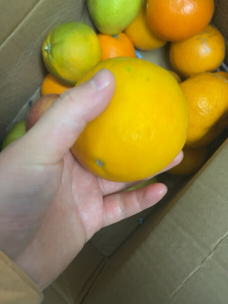 京丰味 赣南脐橙 新鲜当季水果礼盒性价比如何？真实评测分享点评？
